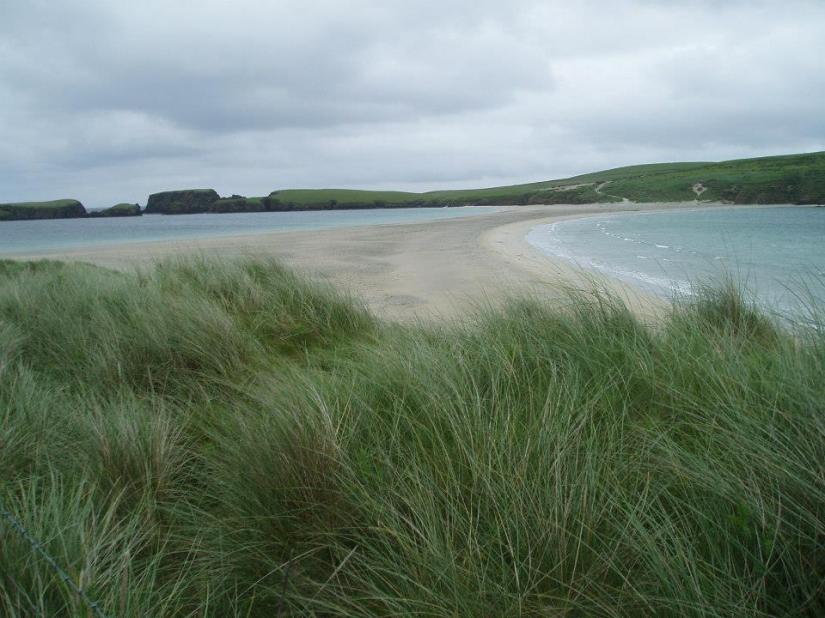 1555435_617982531609059_704152836_n